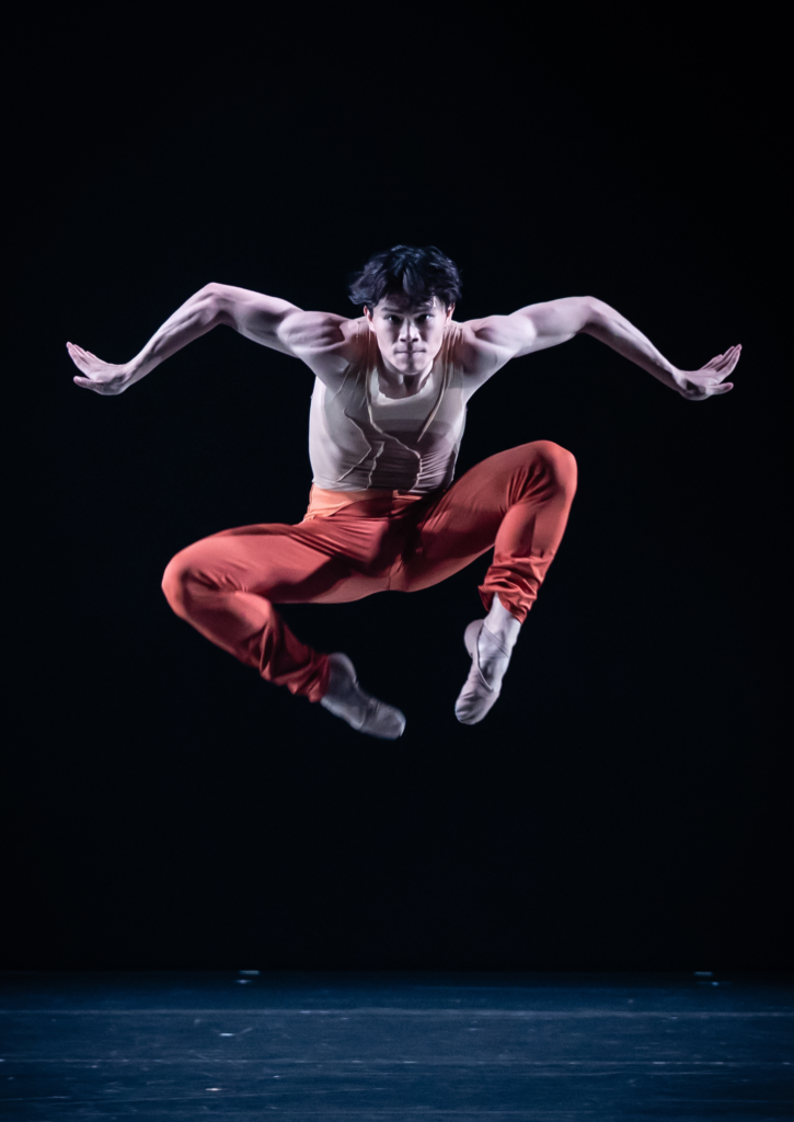 Ballet Illumination website Thumbnail